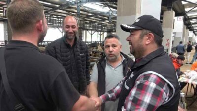 Bursa’da Kurban Bayramı öncesi hareketliliğin arttığı hayvan pazarlarında, Kaçakçılık ve