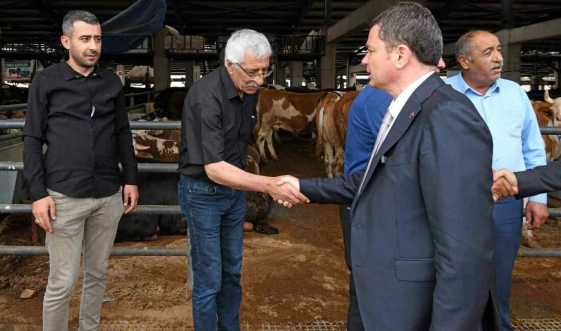 Osmangazi’de kurban satış ve kesim alanları hizmete hazır Osmangazi Belediyesi, vatandaşların Kurban Bayramı’nı huzur içinde geçirmesi ve dini
