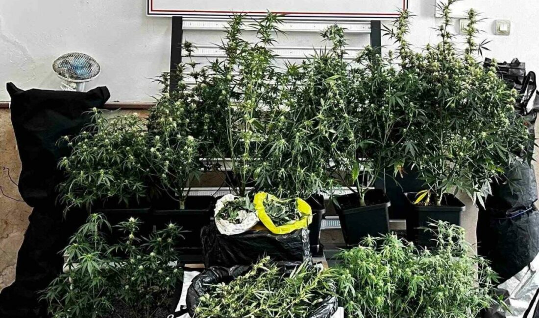 Bursa’da jandarma ekiplerince şüphelinin evinde gerçekleştirlen uyuşturucu operasyonunda çok sayıda