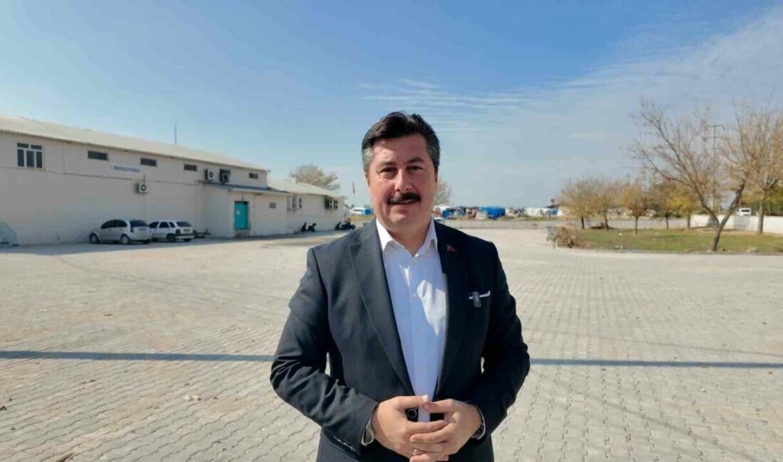 Bursa’nın tarım ve hayvancılık üssü Yenişehir’de, yaklaşan Kurban Bayramı öncesi