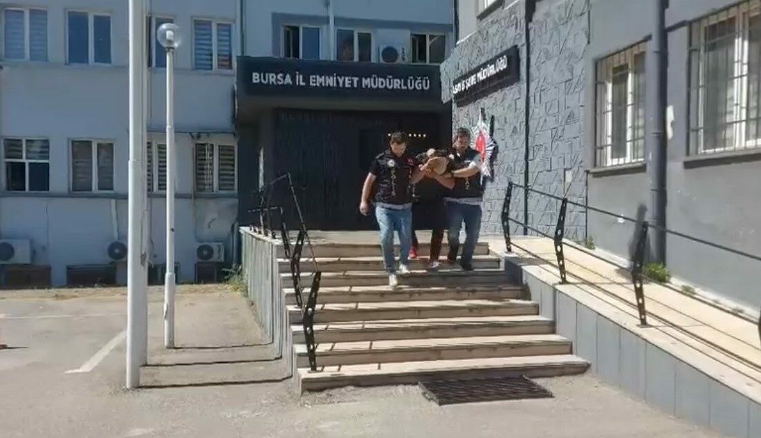 Bursa’da 29 suç kaydı bulunan firari, polisleri görünce kayısı ağacının