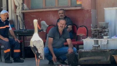 Bursa’nın Nilüfer ilçesine bağlı Fadıllı Mahallesi’nde 10 yıldır aralarındaki dostlukla