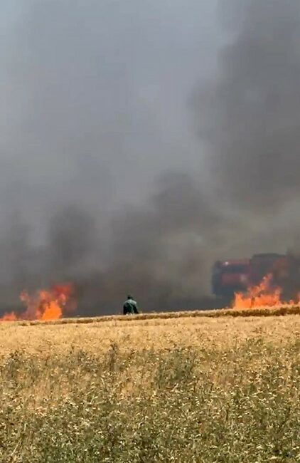 Bursa’nın Karacabey ilçesine bağlı Kirmikir köyü yolu üzerindeki buğday tarlaları,
