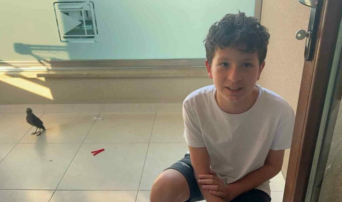 Bulduğu yavru kargalara evinde bakıyor Bursa’nın Nilüfer ilçesinde bir sitenin bahçesinde bulduğu karga yavrusuna yaklaşık