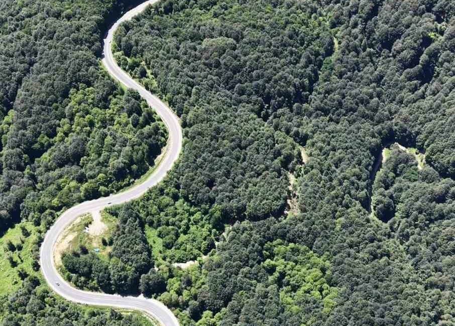Bursa ormanlarında kartpostallık görüntüler Bursa’nın İnegöl ilçesi ile Kütahya’nın Domaniç ilçesini birbirine bağlayan kıvrımlı