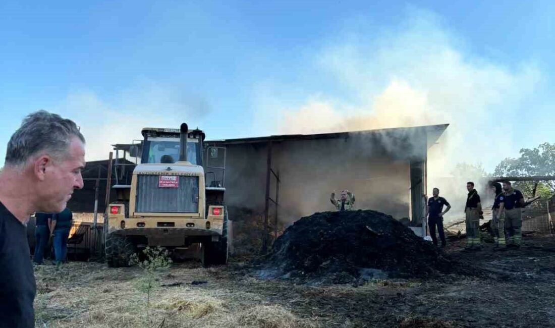 Bursa’da çiftlik yangını: 4 büyükbaş hayvan telef oldu Bursa’nın Karacabey ilçesinde bir çiftlikte çıkan yangında 4 büyükbaş hayvan