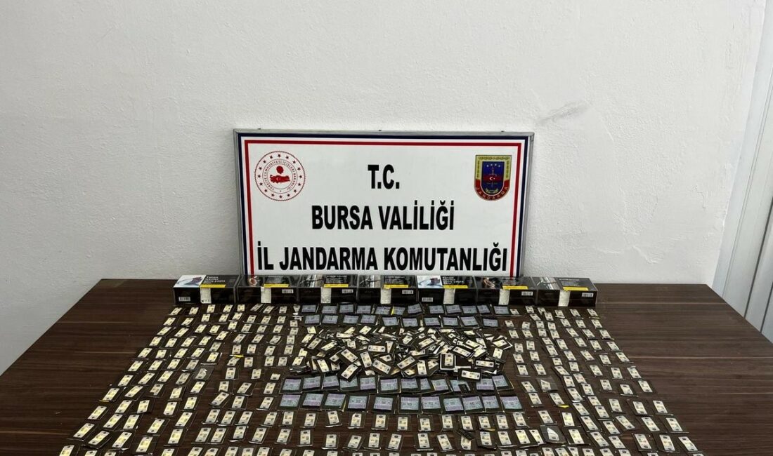 Bursa’da kaçak tütün operasyonu: 6 gözaltı Bursa’da jandarma ekiplerince kaçak tütün ve tütün mamulleri ticaretinin önlenmesine