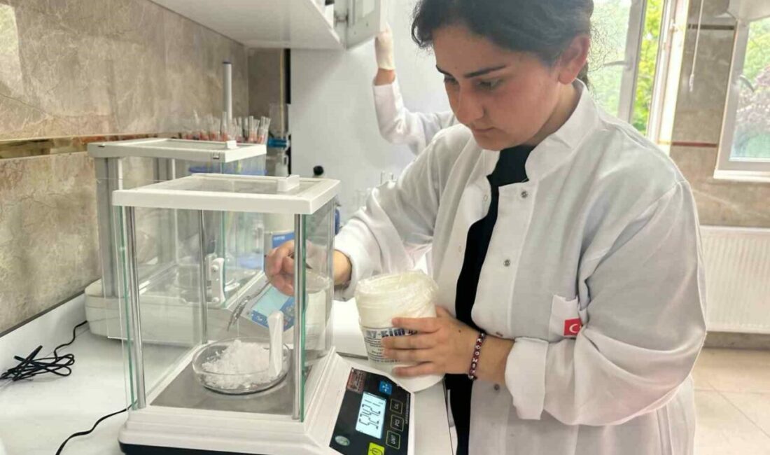 Bursa’daki kız lisesi sıfır atıkla örnek oluyor, ekonomiye katkı sunuyor Bursa’nın Yıldırım ilçesinde yer alan Faik Çelik Kız Mesleki ve