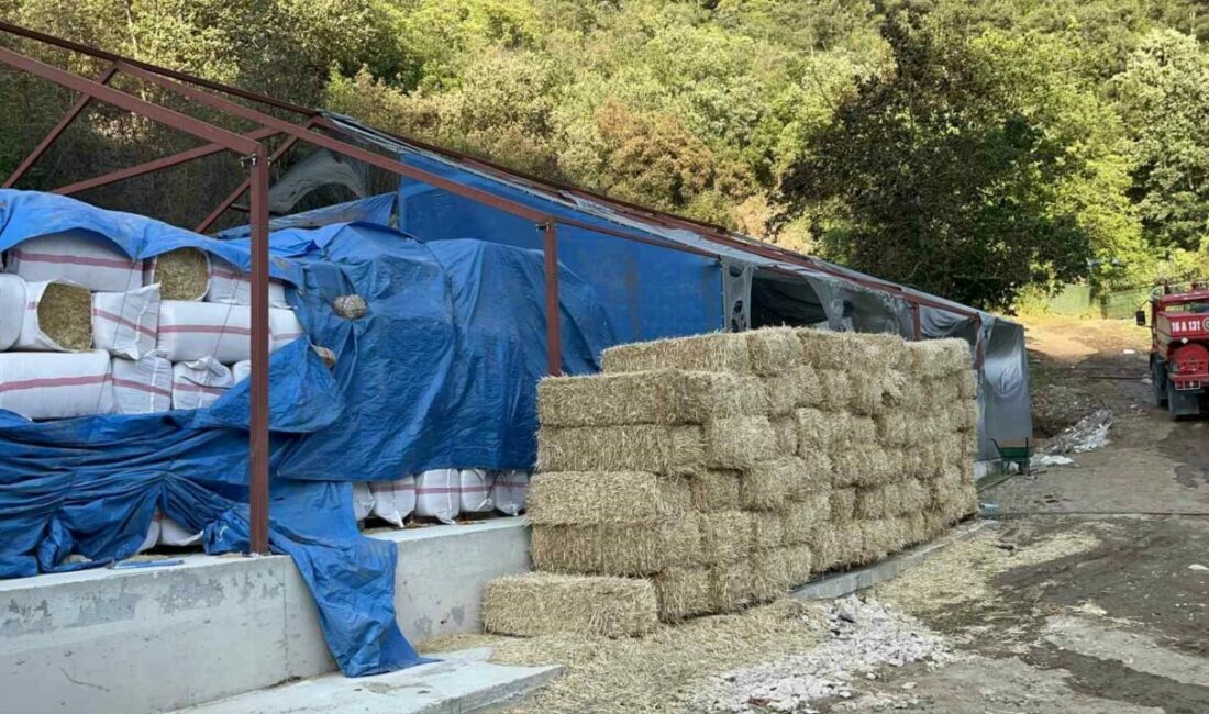 Bursa’da ahırda çıkan ve ormanlık alana sıçrayan yangına ilişkin yürütülen