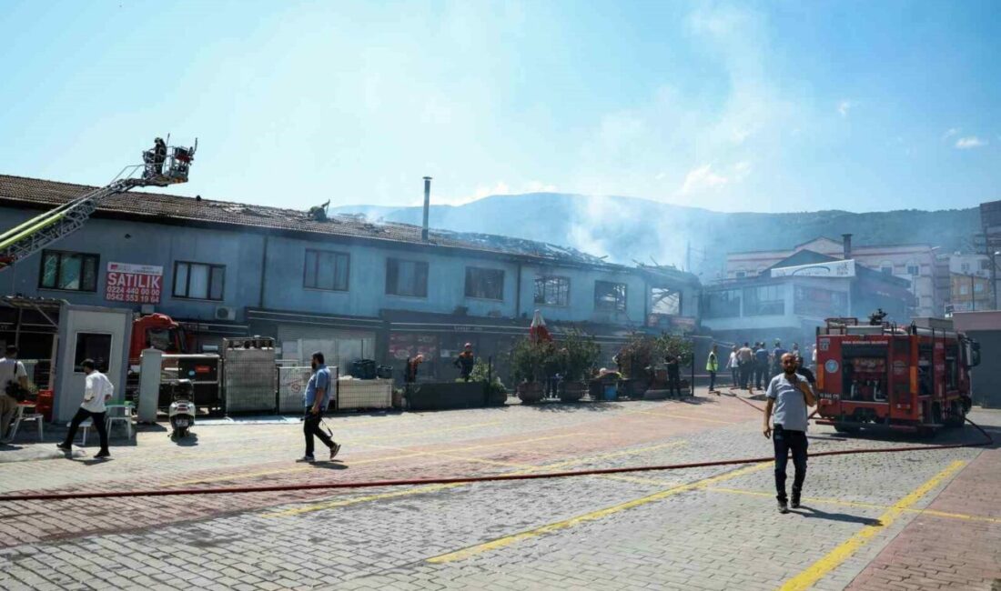 Bursa Büyükşehir Belediyesi İtfaiye Dairesi Başkanlığı ekipleri, sabah saatlerinde vatandaştan
