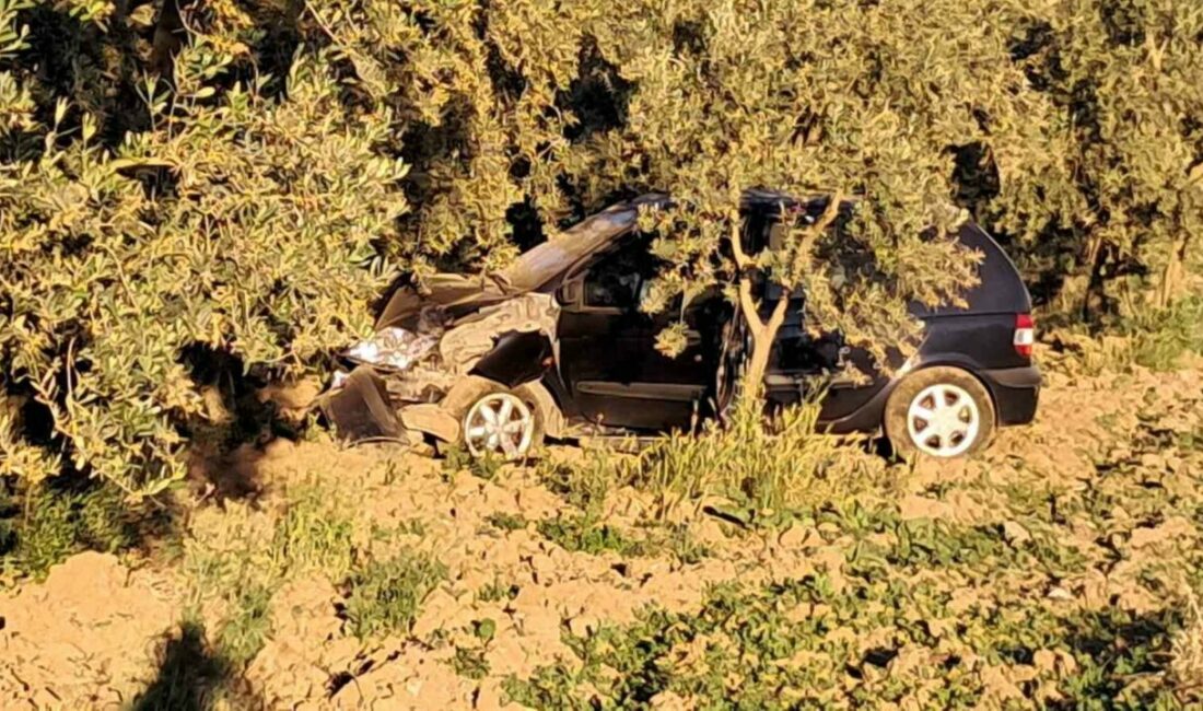 Facianın eşiğinden döndü: Burnu bile kanamadan kurtuldu Bursa’nın İznik ilçesinde kontrolden çıkan otomobilin ağaca çarptığı kazada sürücü,