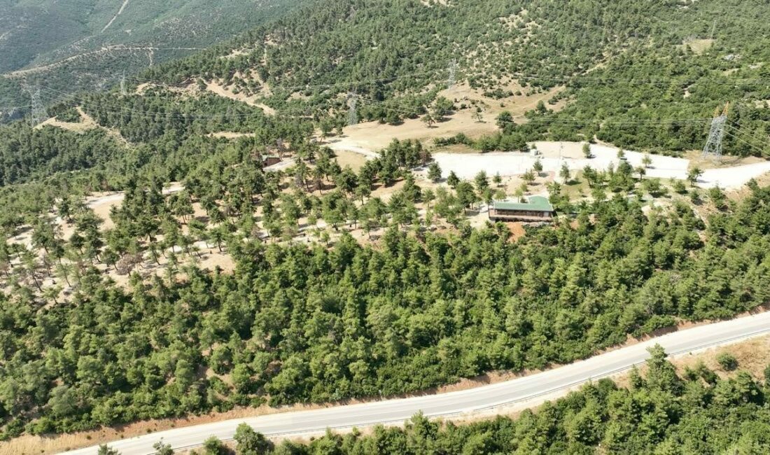 Gürsu’da yaşanan yangın faciasından sonra bazı alanları yanan, içinde Gürsu
