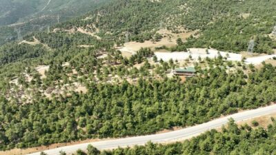 Gürsu’da yaşanan yangın faciasından sonra bazı alanları yanan, içinde Gürsu