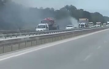 Bursa’nın Karacabey ilçesinde bulunan İzmir-Bursa kara yolu üzeri TİGEM bölgesindeki