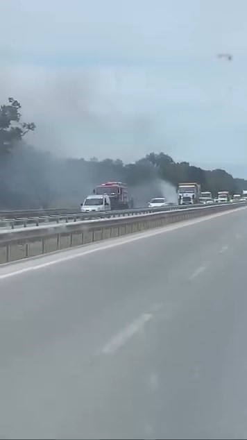 İzmir-Bursa kara yolunda alevler korkuttu Bursa’nın Karacabey ilçesinde bulunan İzmir-Bursa kara yolu üzeri TİGEM bölgesindeki