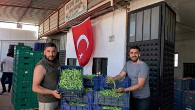 Bursa’nın İznik ilçesine bağlı Boyalıca Mahallesi’nde yörenin önemli tarım ürünlerinden