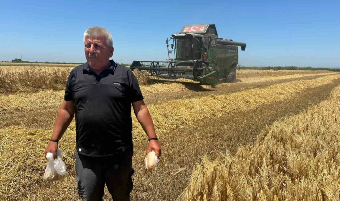 Karacabeyli çiftçiler: “20 liralık ekmekte bizim payımız 5 lira” Karacabey Ziraat Odası İkinci Başkanı Ramazan Düzen, 20 liraya satılan