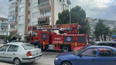 Bursa’nın Mudanya ilçesi Ömerbey Mahallesi Muhtarlığı önünde bir ağaca takılan
