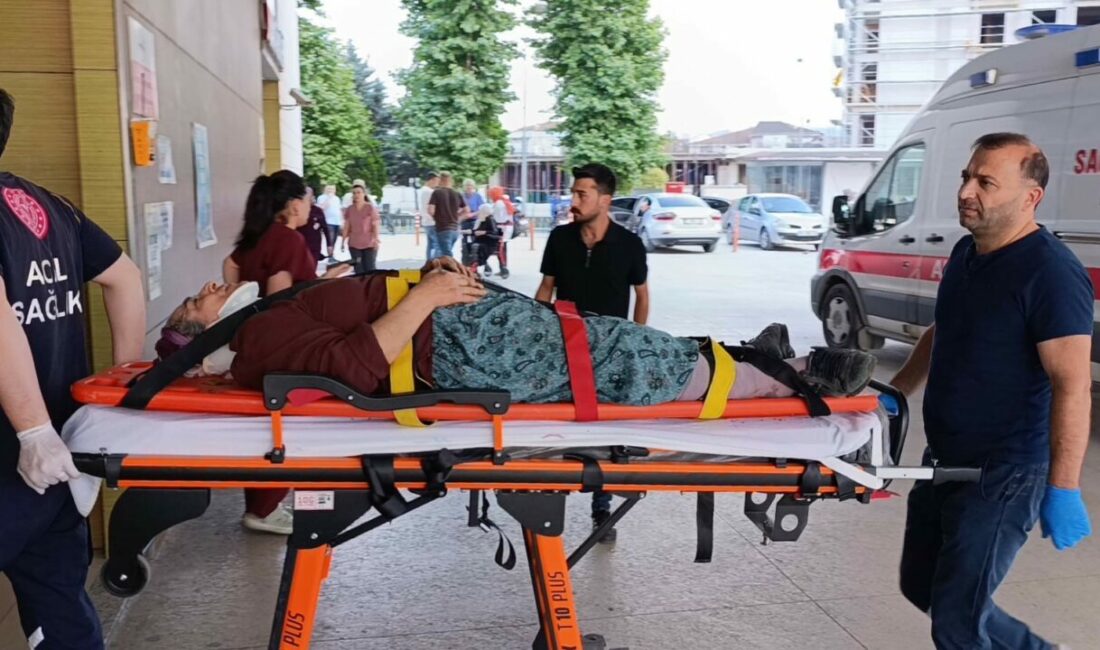 Kiraz toplamak için çıktığı ağaçtan düşerek yaralandı Bursa’nın İnegöl ilçesinde kiraz toplamak için çıktığı ağaçtan düşen kadın