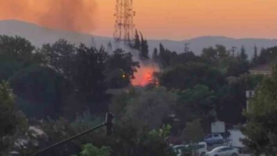 Bursa’da düzenlenen Kültür Yolu Festivali’nin hemen yanında bulunan ağaçlık alanda