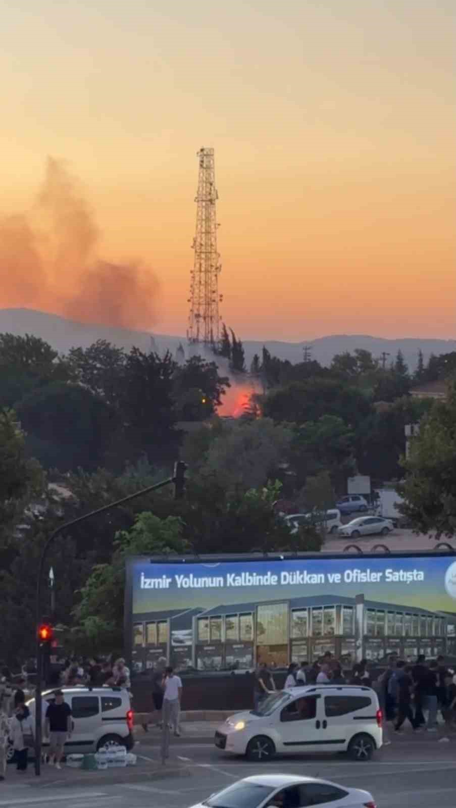 Bursa’da düzenlenen Kültür Yolu Festivali’nin hemen yanında bulunan ağaçlık alanda