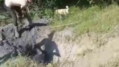 Bursa’nın İnegöl ilçesinde kırsal bölgede defineciler tarafından açıldığı iddia edilen