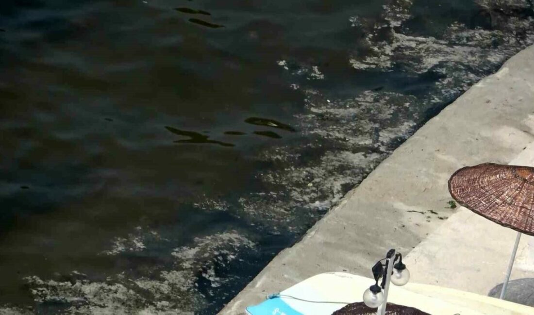 Müsilaj yeniden Gemlik Körfezi’nde Marmara Denizi’nde son yıllarda dönem dönem etkisini gösteren müsilaj, Bursa’nın