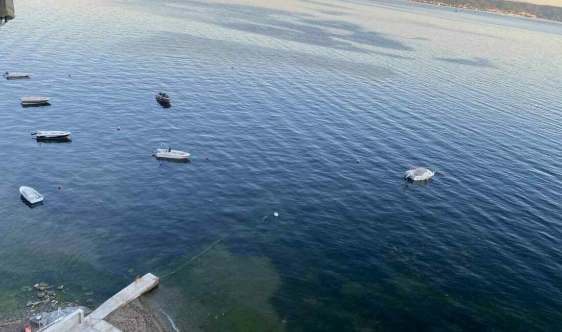 Marmara Denizi’nde geçtiğimiz hafta müsilaj nedeniyle gündeme gelen Gemlik Körfezi’nde