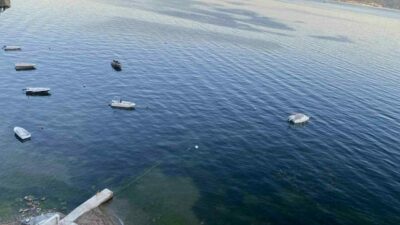 Marmara Denizi’nde geçtiğimiz hafta müsilaj nedeniyle gündeme gelen Gemlik Körfezi’nde
