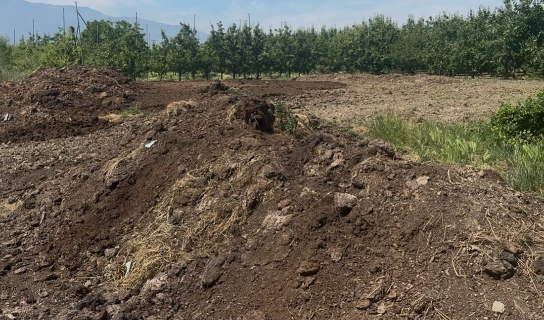 Küresel pazardaki hareketlilik nedeniyle kimyasal gübre ve yakıt maliyetlerinin yükselmesi,