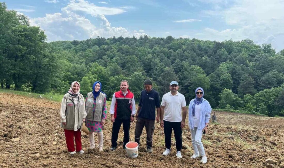 “TAKE” projesiyle tarım arazileri boş kalmayacak “Tarım Arazilerinin Kullanımının Etkinleştirilmesi, Desteklenmesi Projesi” kapsamında Orhaneli ilçesinde sorgun