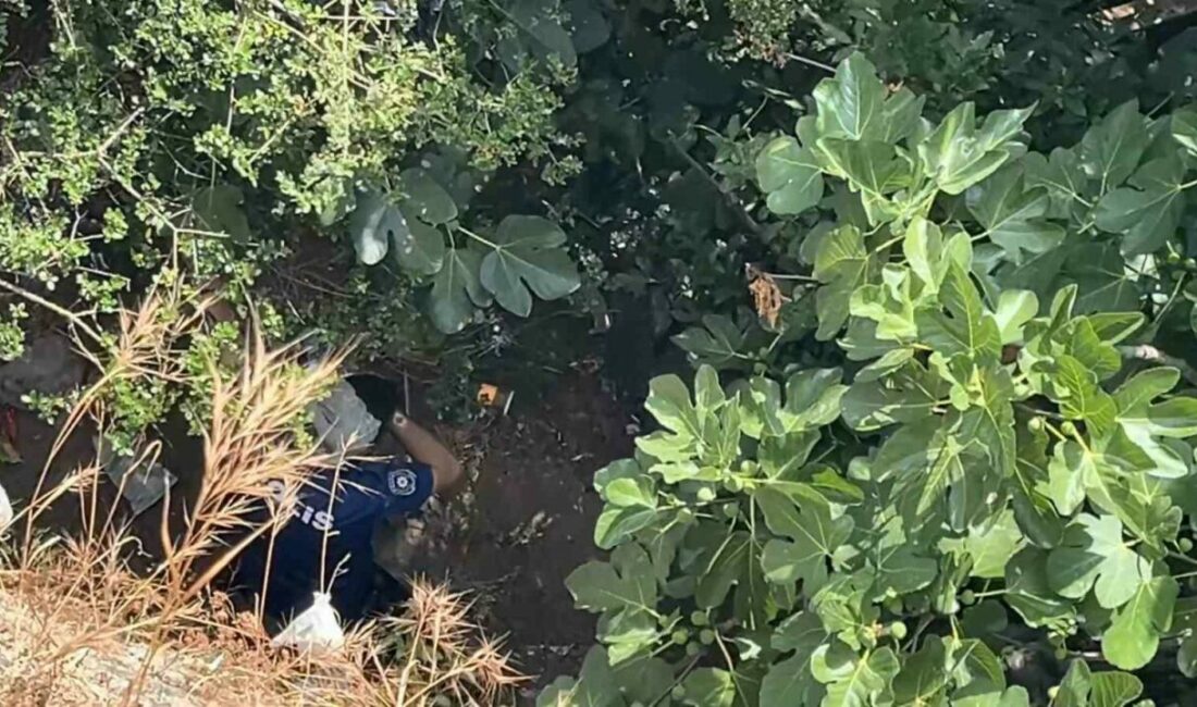 10 metreden düşen kadın, yardıma gelen polislerden kaçtı Bursa’da manzarayı izlerken 10 metre yüksekten düşen kadın, yardım için