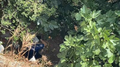 Bursa’da manzarayı izlerken 10 metre yüksekten düşen kadın, yardım için