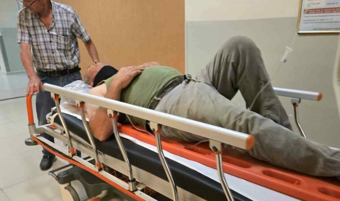 Ahırın çatısından düşen kişi hayatını kaybetti Bursa’nın Kestel ilçesinde ahırın çatısından düşerek ağır yaralanan şahıs, 8
