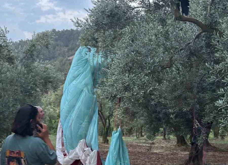 Anlık hava değişimi yamaç paraşütçülerine yaramadı Bursa’nın Orhangazi ilçesinde yamaç paraşütü yapılan Gürle Dağı’ndan tandem (çift