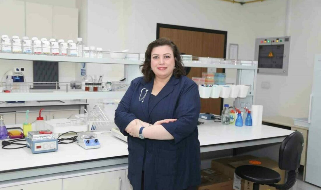BTÜ’den diyabet hastalarına umut olacak çalışma Bursa Teknik Üniversitesi (BTÜ), diyabet hastalarının en önemli sağlık sorunlarından