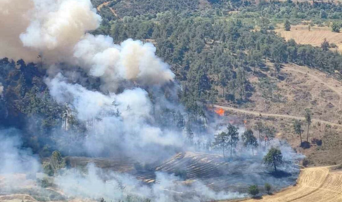 Bursa’da otluk alanda çıkan yangın ormana sıçradı Bursa’nın Büyükorhan ilçesinde otluk alanda çıkan yangın ormana sıçradı. Yangına