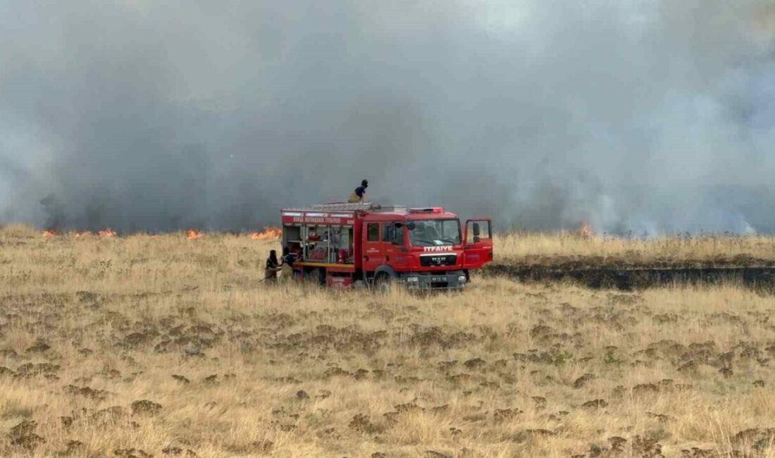 Bursa’da otluk alanda yangın Bursa’da Yenişehir Havalimanı girişinde bulunan otluk alanda çıkan yangın, kısa