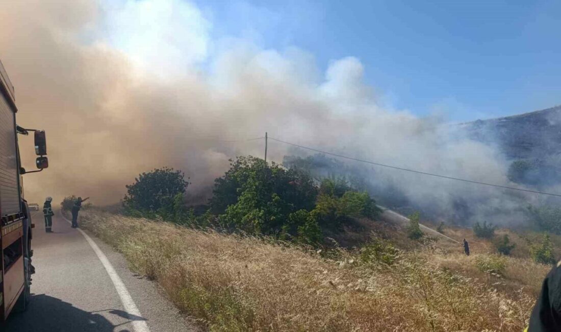 Bursa’nın İnegöl ilçesinde güneş panellerinin bulunduğu alanda çıkan yangın, çevredeki