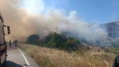 Bursa’nın İnegöl ilçesinde güneş panellerinin bulunduğu alanda çıkan yangın, çevredeki