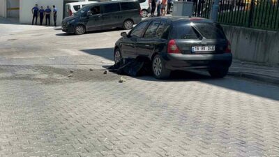 Bursa’da çöp kamyonunun çarptığı yaşlı adam hayatını kaybetti. Kaza, Mudanya