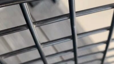 Bursa’nın İnegöl ilçesinde doğada nadir görülen dantel böceği, bir iş