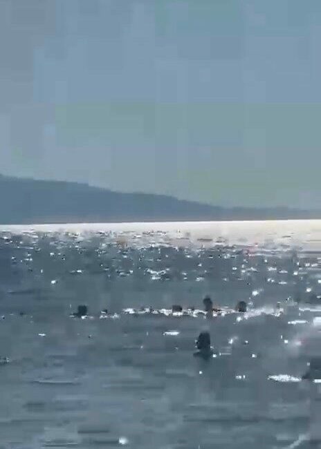 Denizde dubaların dışına çıkan baba ve iki kızı ölüm tehlikesi atlattı Bursa’da serinlemek için denize gelen baba ve 2 kızı, boylarının