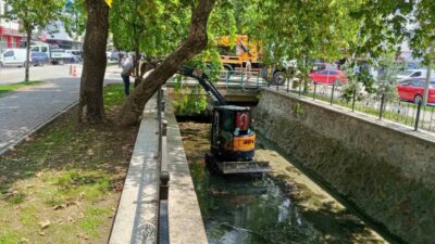Gemlik ilçe merkezinden geçen Çarşı Deresi’nde temizlik çalışmaları başladı. Bursa