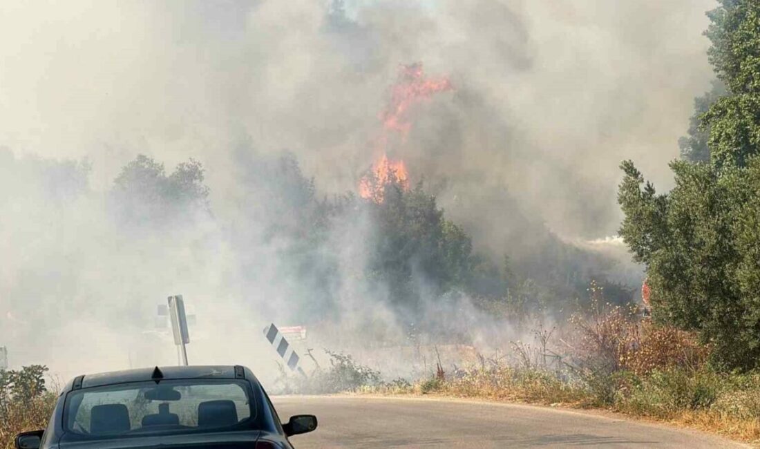 İznik’te korkutan yangın Bursa’nın İznik ilçesine bağlı Elbeyli Mahallesi’nde bulunan çöp depolama tesisinde