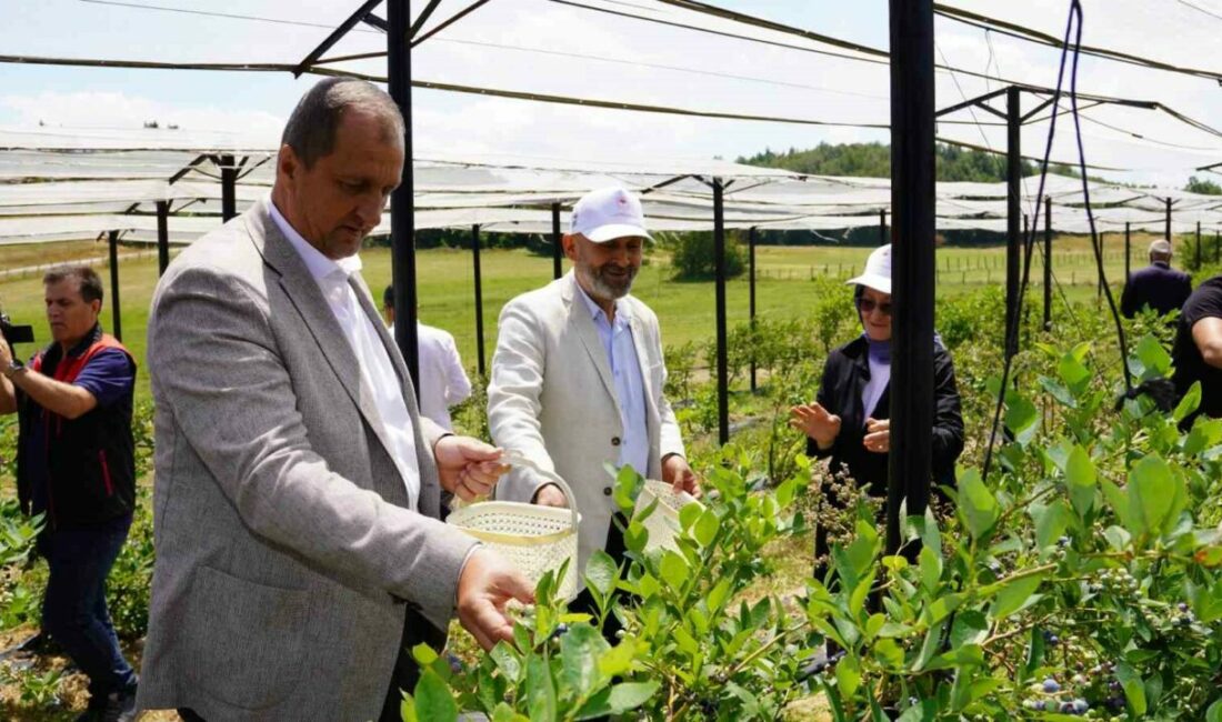 Bursa Valiliği İl Tarım ve Orman Müdürlüğü tarafından yürütülen “Organik