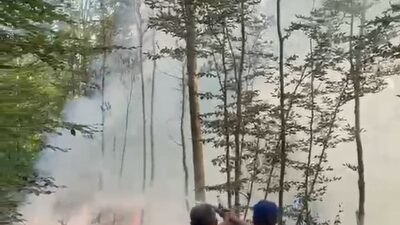 Bursa’nın Karacabey ilçesinde ormanlık alanda çıkan yangınına Orman Bölge Müdürlüğü