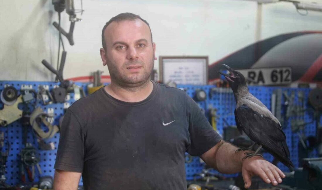 Bursa’da otomobil tamircisi Murat Güney’in 3 ay önce yaralı halde