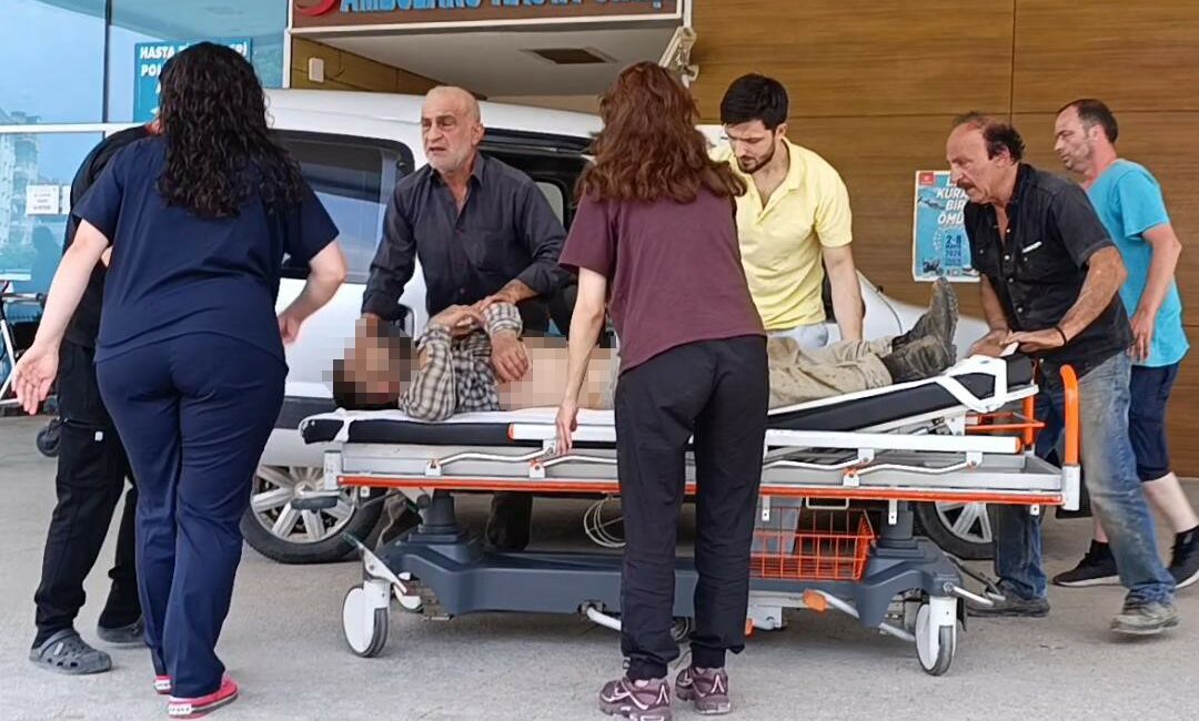Kayalıklardan düşen imam ağır yaralandı Bursa’nın İnegöl ilçesinde mantar toplamak için ormanlık alana giden cami