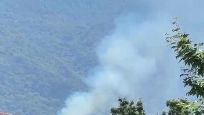 Bursa’nın Kestel ilçesi’nde orman yangını çıktı. Bölgeye sevk edilen ekipler,